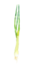 蔥