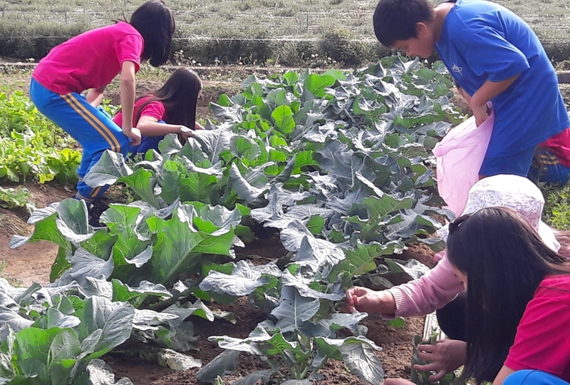 校田裡的自然課 — 翻轉失敗的校田科展
