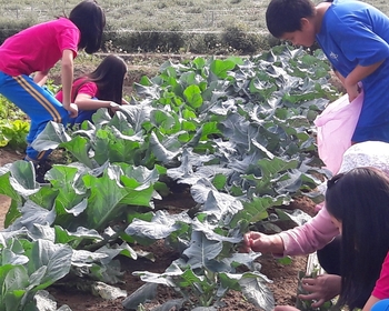 校田裡的自然課 — 翻轉失敗的校田科展