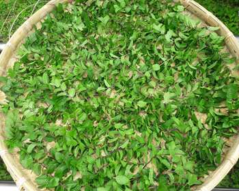 校田裡的數學課 — 一瓶香料罐的商務數學