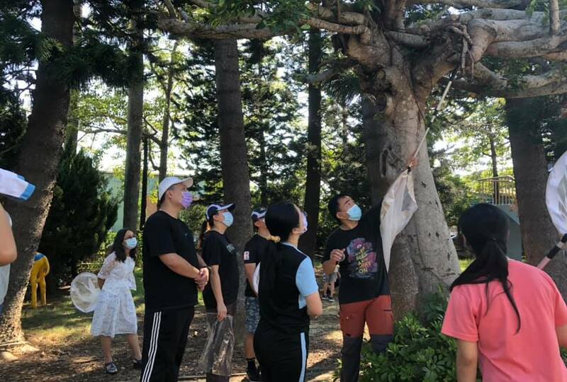 校田裡的語文課—從觀察昆蟲培養閱讀習慣