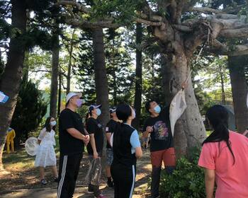 校田裡的語文課—從觀察昆蟲培養閱讀習慣