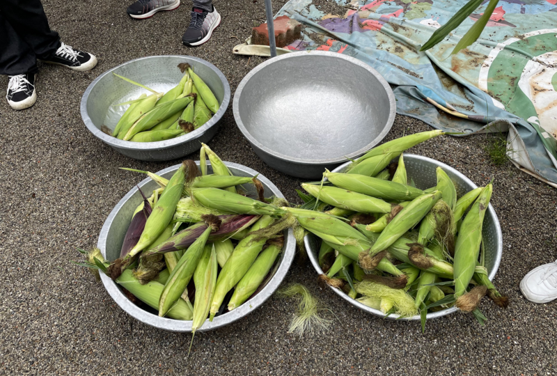校田裡的社會課—送菜到養老院的同理心練習