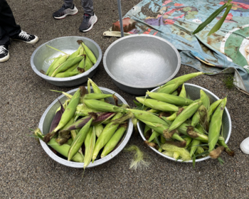 校田裡的社會課—送菜到養老院的同理心練習